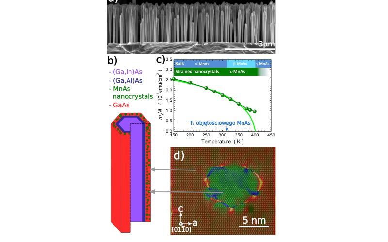Spotęgowany ferromagnetyzm nanokryształów MnAs osadzonych w powłokach z arsenku galu