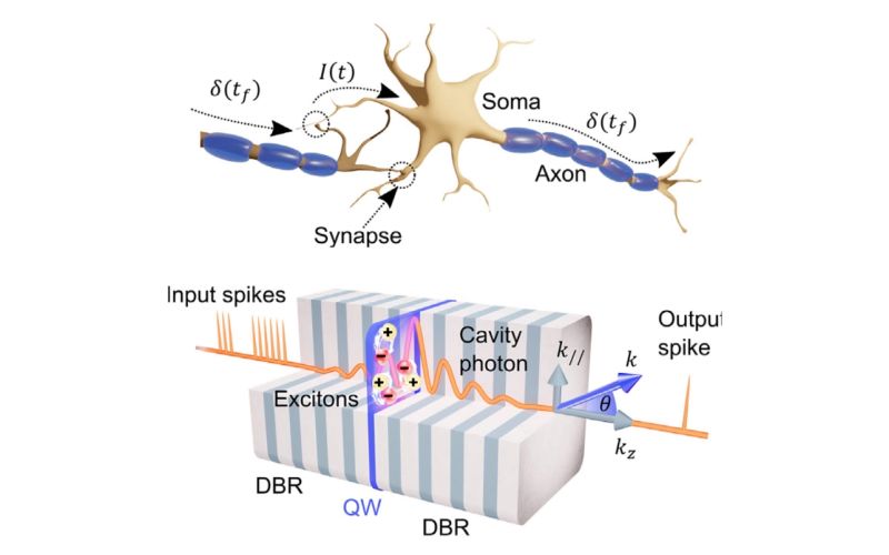 An artificial polariton neuron as a step towards photonic systems that mimic the operation of the human brain