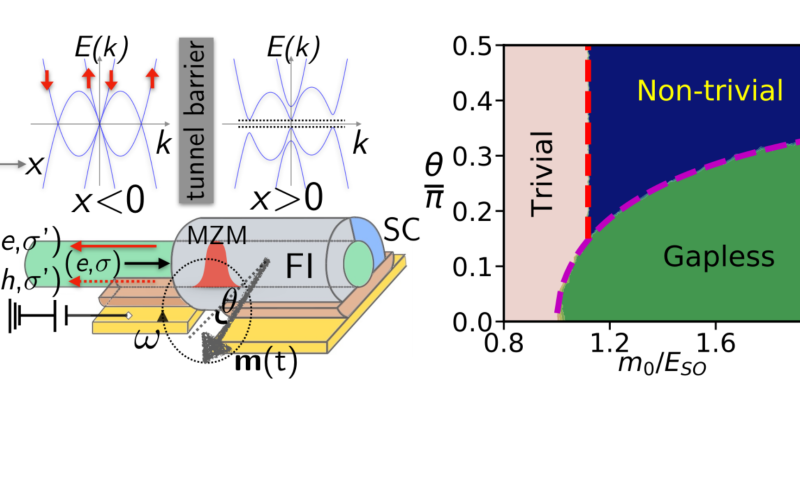 Kwantowe pompowanie spinów w topologicznych ferromagnetyczno-nadprzewodzących nanodrutach