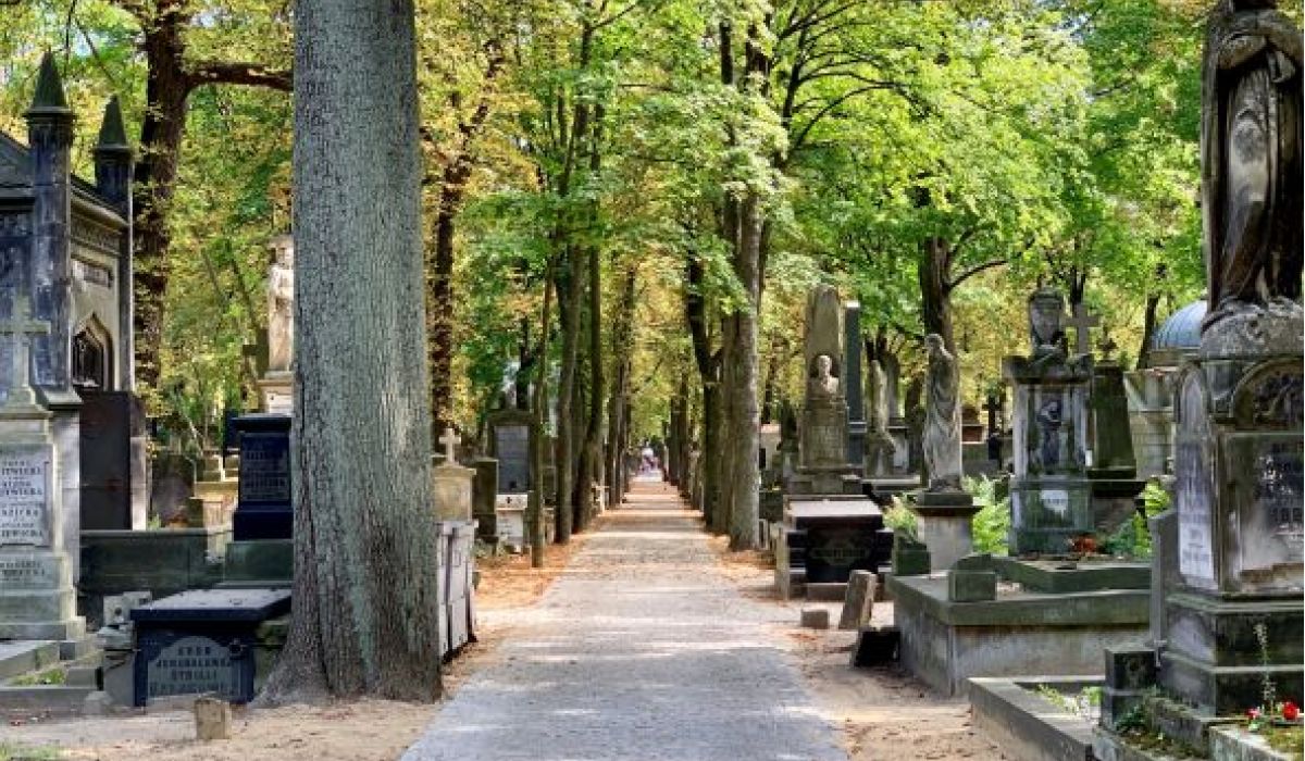 Excursion to the Powązki Cemetery