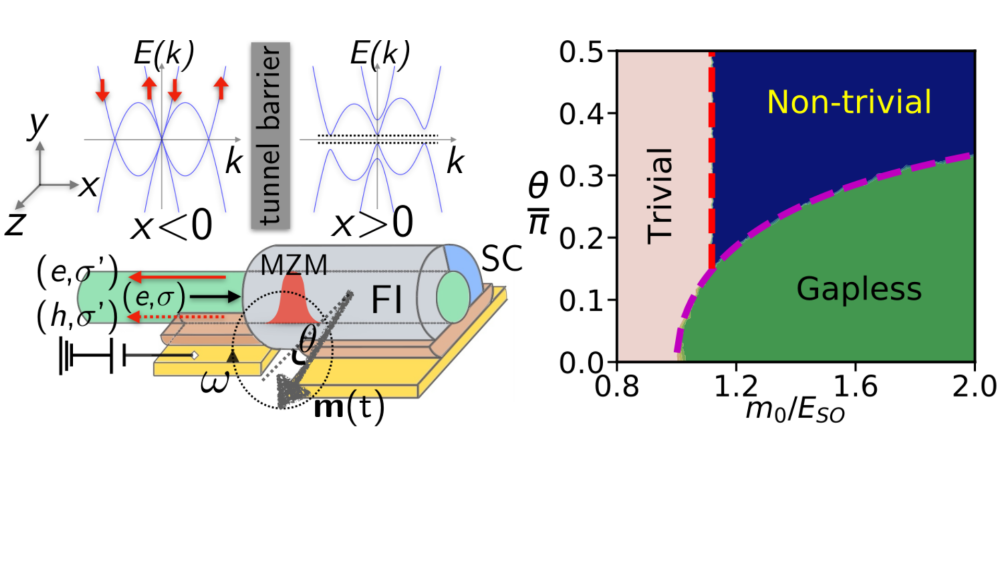 Kwantowe pompowanie spinów w topologicznych ferromagnetyczno-nadprzewodzących nanodrutach