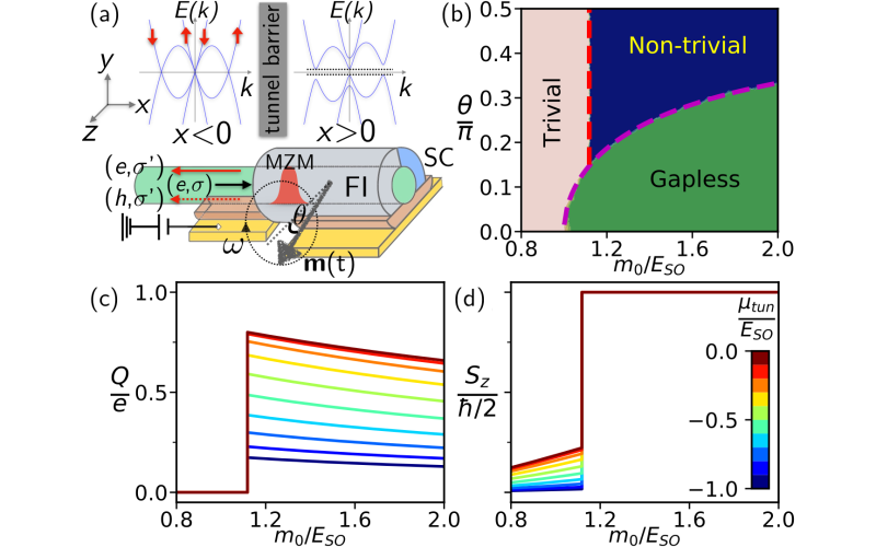 Quantized Spin Pumping in Topological Ferromagnetic-Superconducting Nanowires