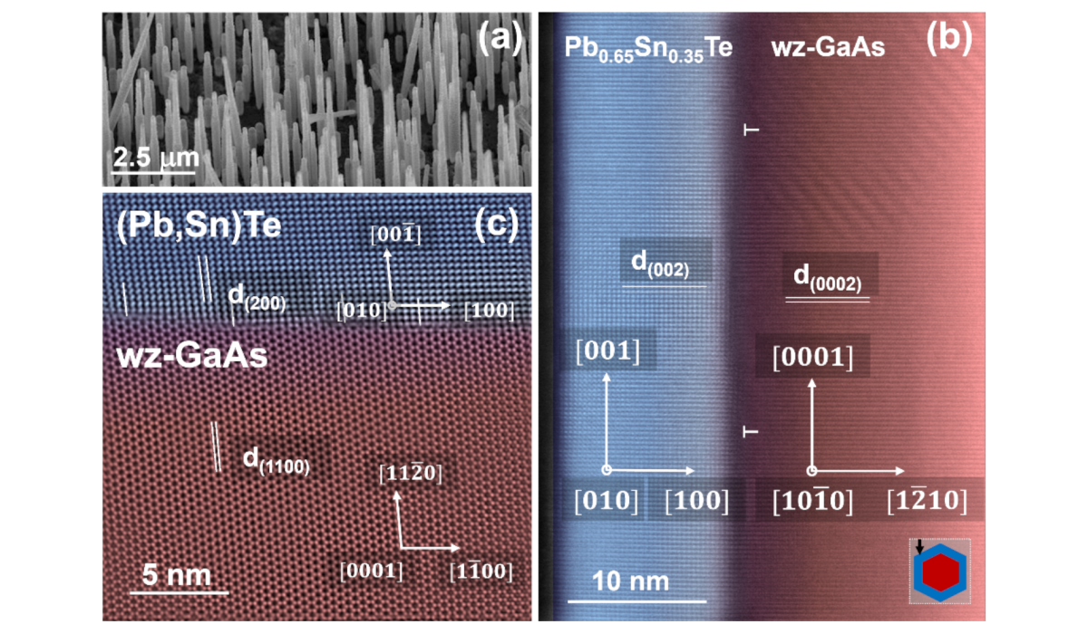 Electron microscopy images of wurtzite GaAs nanowires with (Pb,Sn)Te topological crystalline insulator shells: (a) Scanning electron microscopy image of nanowires on GaAs(111)B substrate. (b) and (c) High resolution transmission electron microscopy (HRTEM) images; the distances between selected lattice planes are marked with parallel line sets and labelled with “d” with subscripts denoting Miller indices of the respective planes. (b) Plan view of the nanowire section (the nanowire placed on a TEM grid); T symbols on the interface indicate misfit dislocations; the inset in the lower right corner shows orientation of the nanowire with respect to the electron beam direction. (c) HRTEM image of the fragment of perpendicular nanowire cross section showing the interface between wurtzite GaAs core and cubic (Pb,Sn)Te shell.