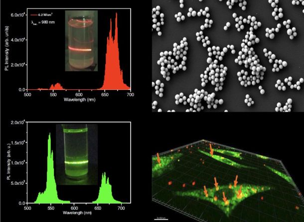 Rak i nanotechnologia – nowe strategie terapeutyczne i diagnostyczne.