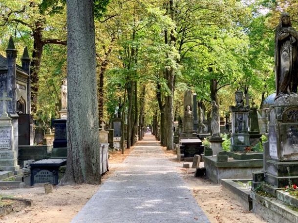 Excursion to the Powązki Cemetery