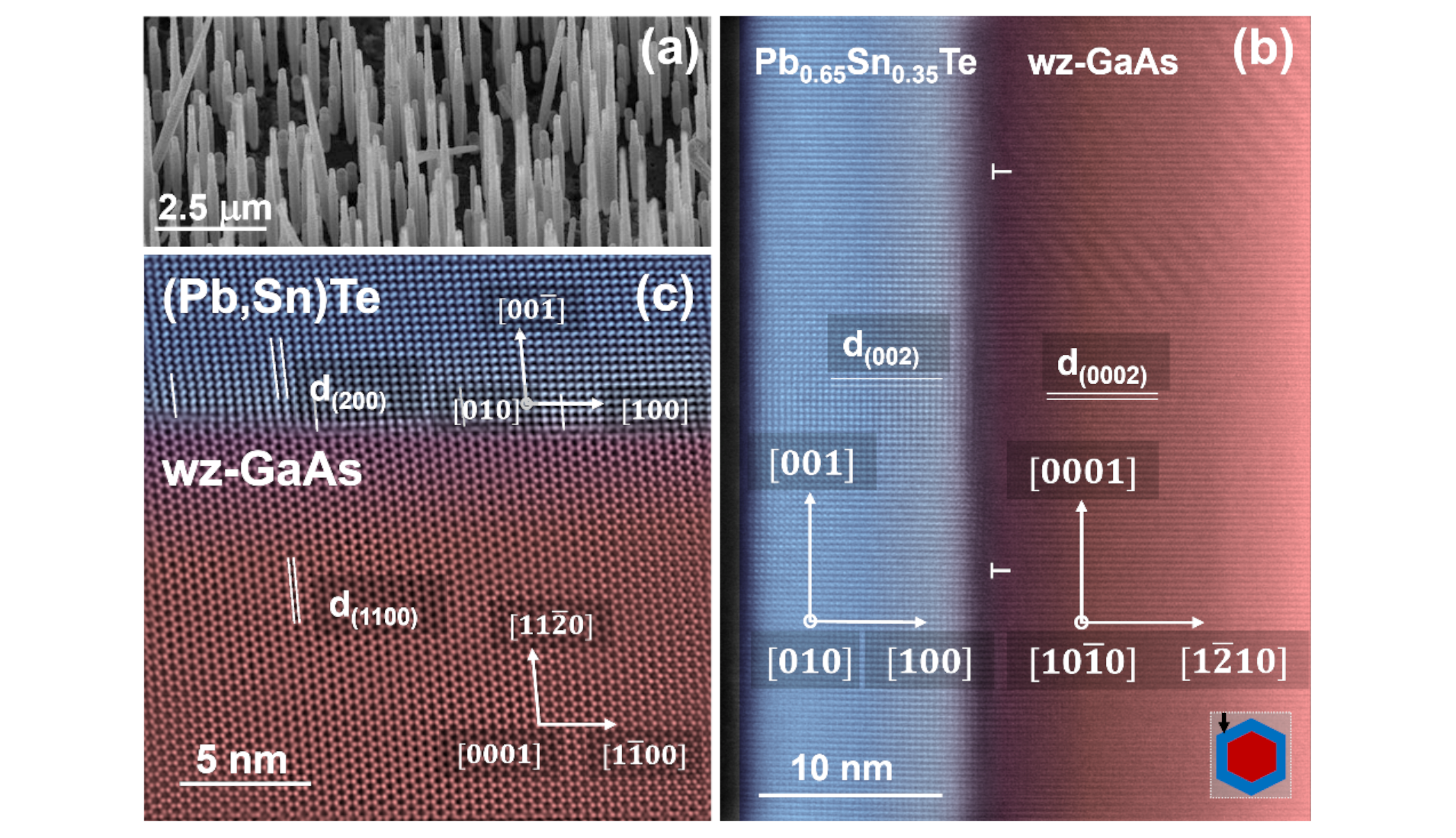 Electron microscopy images of wurtzite GaAs nanowires with (Pb,Sn)Te topological crystalline insulator shells: (a) Scanning electron microscopy image of nanowires on GaAs(111)B substrate. (b) and (c) High resolution transmission electron microscopy (HRTEM) images; the distances between selected lattice planes are marked with parallel line sets and labelled with “d” with subscripts denoting Miller indices of the respective planes. (b) Plan view of the nanowire section (the nanowire placed on a TEM grid); T symbols on the interface indicate misfit dislocations; the inset in the lower right corner shows orientation of the nanowire with respect to the electron beam direction. (c) HRTEM image of the fragment of perpendicular nanowire cross section showing the interface between wurtzite GaAs core and cubic (Pb,Sn)Te shell.