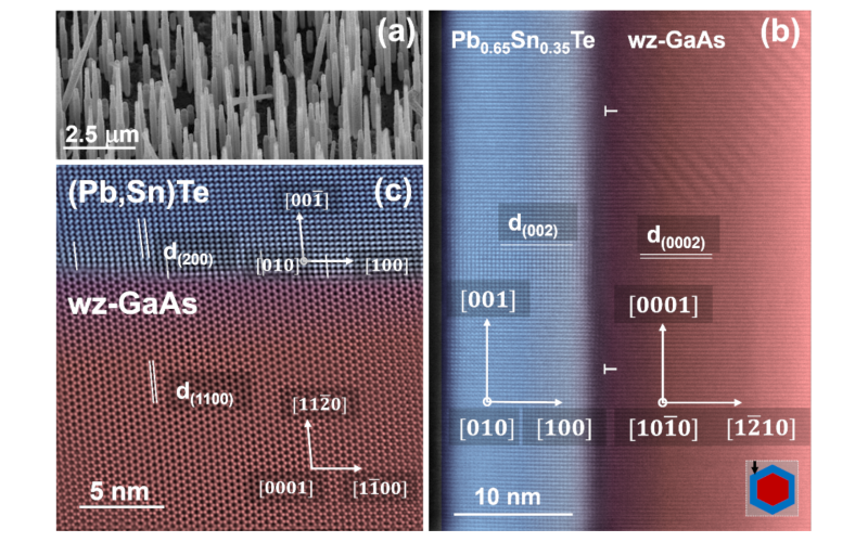 Nanodruty wurcytowego arsenku galu (wz-GaAs) z powłokami z topologicznego izolatora krystalicznego (Pb,Sn)Te obrazowane przy pomocy mikroskopii elektronowej: (a) obraz ze skaningowego mikroskopu elektronowego, nanodruty na podłożu GaAs(111)B. (b) i (c) Obrazy z wysokorozdzielczego transmisyjnego mikroskopu elektronowego; odległości pomiędzy wybranymi płaszczyznami krystalograficznymi są zaznaczone przez zestawy równoległych linii i oznaczone przez „d”, ze wskaźnikami Millera w subskrypcie. (b) Fragment nanodrutu w widoku planarnym (nanodrut umiejscowiony na siatce mikroskopowej); symbole „T” na interfejsie oznaczają dyslokacje niedopasowania; wstawka w prawym dolnym rogu pokazuje orientacje nanodrutu względem wiązki elektronów w mikroskopie. (c) Fragment przekroju poprzecznego nanodrutu pokazujący interfejs pomiędzy wurcytowym rdzeniem GaAs i powłoką (Pb,Sn)Te o strukturze regularnej; dyslokacje niedopasowania zaznaczone są krótkimi ukośnymi liniami.