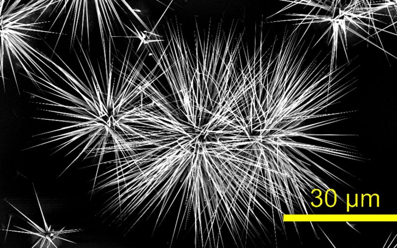 Carbon Oxide Decomposition as a Novel Technique for Ultrahigh Quality ZnO Nanowire Crystallization