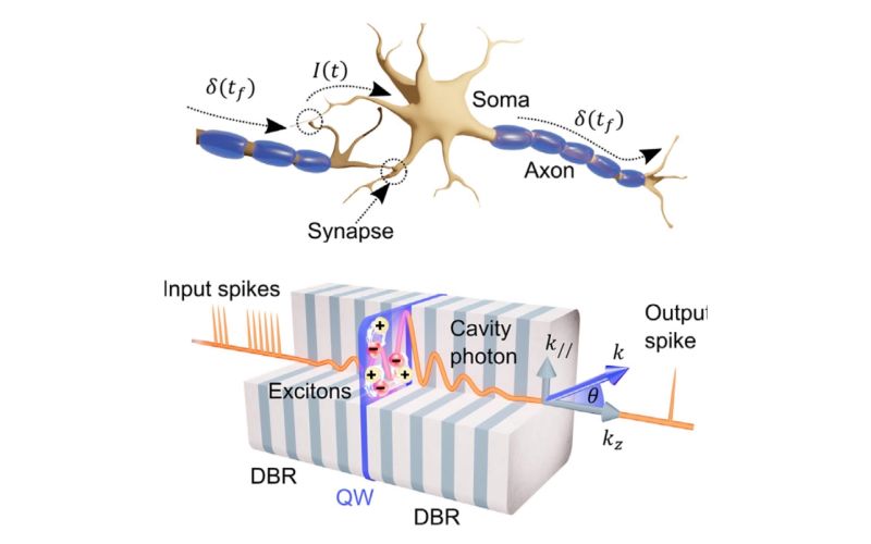 An artificial polariton neuron