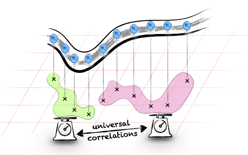 Universality of Internal Correlations of Strongly Interacting p-Wave Fermions in One-Dimensional Geometry